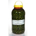 ACEITUNA CAMPO REAL 5KG ROYA S.L