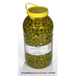 ACEITUNA MANZANILLA S/ANCHOA 5KG ROYA S.L