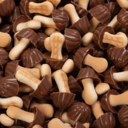 SETAS CHOCOLATE 1KG